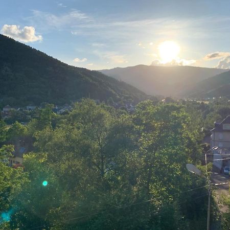 Au Reposoir - Vue Sur La Montagne Apartment Buhl Luaran gambar