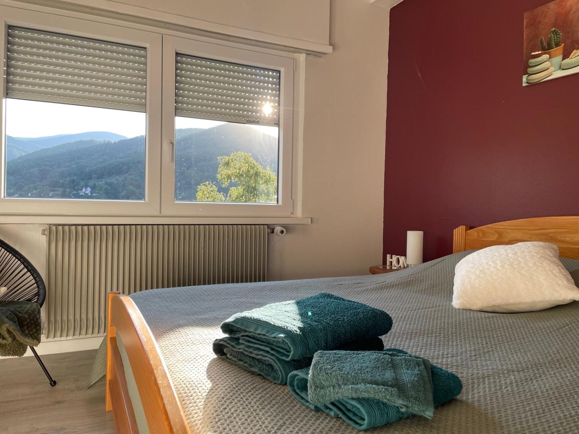 Au Reposoir - Vue Sur La Montagne Apartment Buhl Luaran gambar